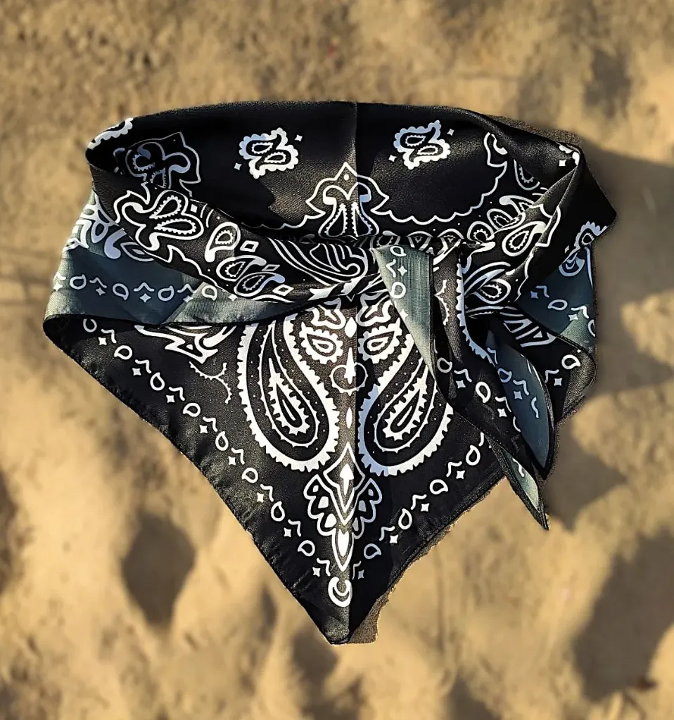PAÑUELO PASLEY